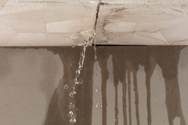 Professional Flood Damage Cleanup technician working in Washington Island, WI